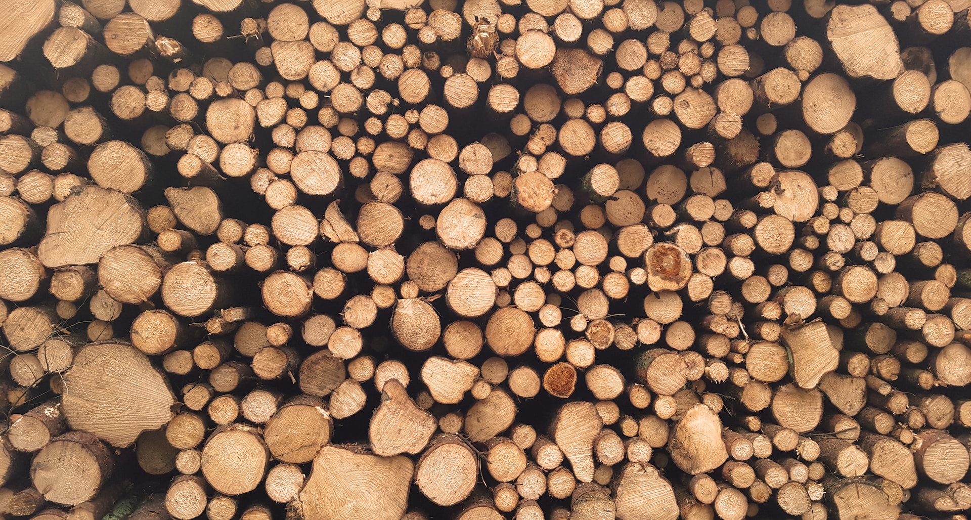 Alles wat je moet weten over houtpellets kopen online